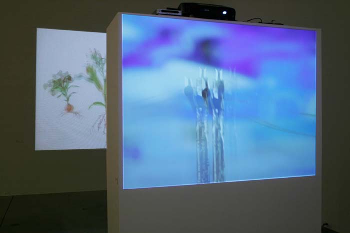 Artlab MFA Thesis Exhibition: Jennifer Wanner (2009)